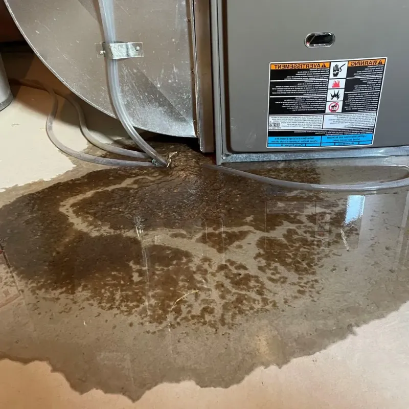 Pipe Burst and Leak Restoration in Holiday Island, AR